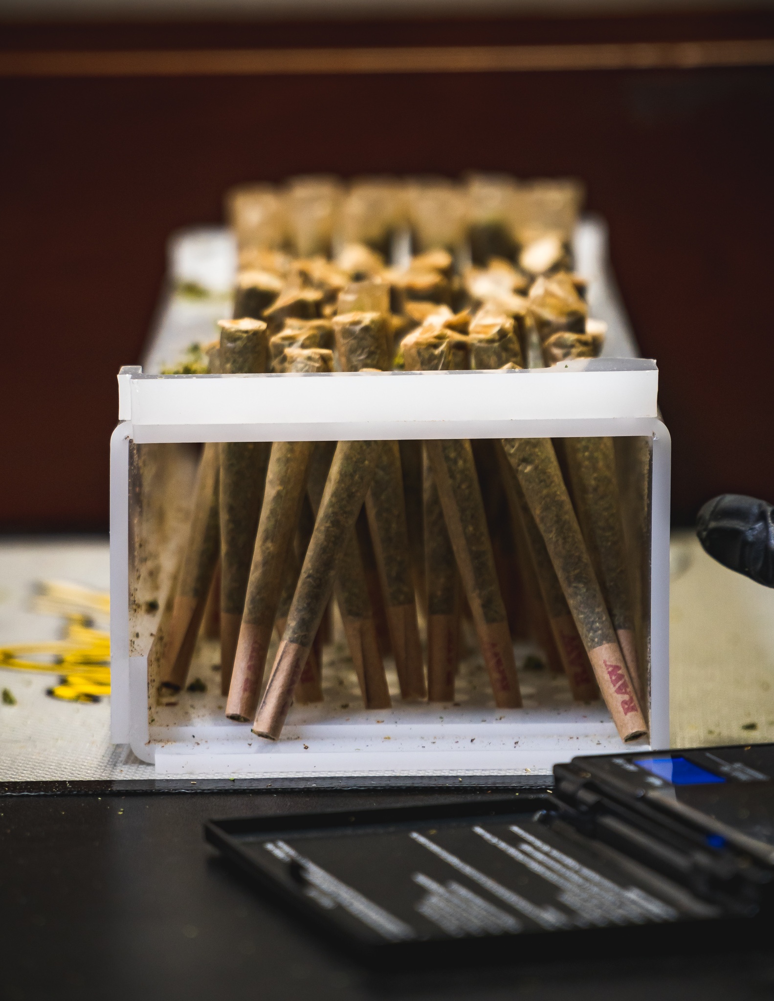 Filling 100 Joints In 5 Minutes With our Futurola KnockBox! Honey Oil